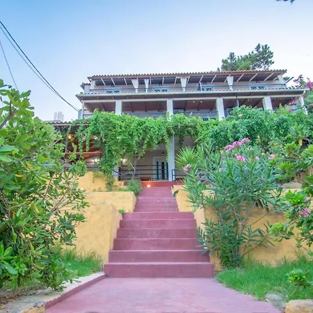 Aggelika Lejlighed Lithakia (Zakynthos)