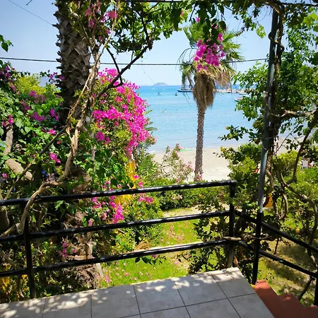 Apartamento Aggelika *